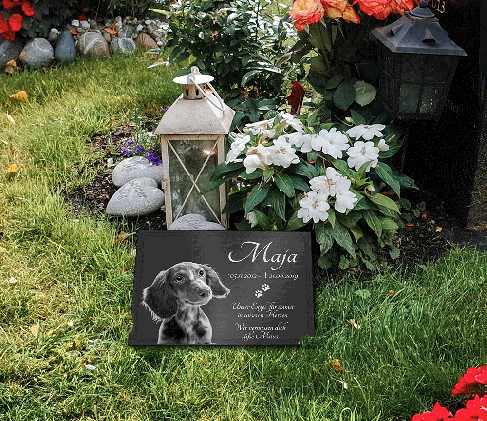 GRANIT Grabstein Tiergrabstein Gedenkstein Hund-G16 ► FOTO GRAVUR ◄ 20x15 cm 
