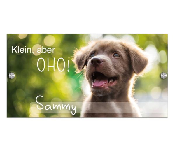 Schiefer Türschild « WELSH CORGI 02 » pers Schild Namensschild Name Hund Hunde 