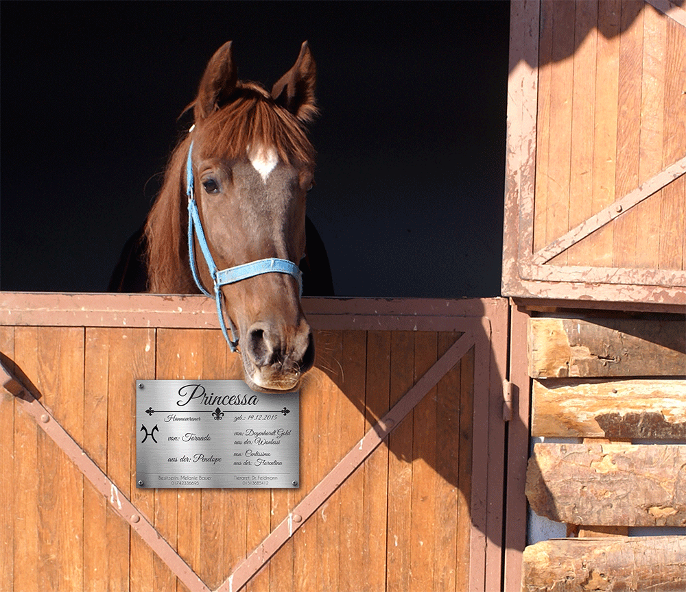 Boxenschild Pferd Weideschild Welsh Pony Türschild 