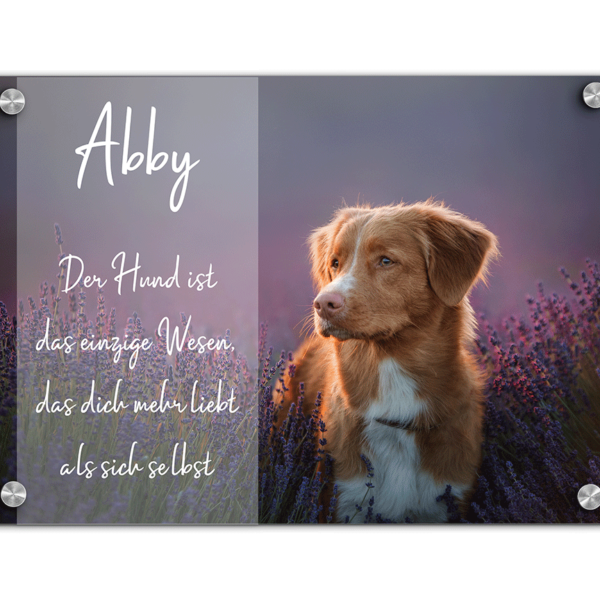 gravuru Hundeschild Wandbild Dekoschild mit eigenem Foto und Spruch