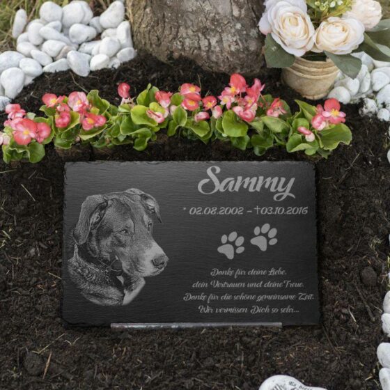 Tier Grabplatte Hund auf einem Tiergrab