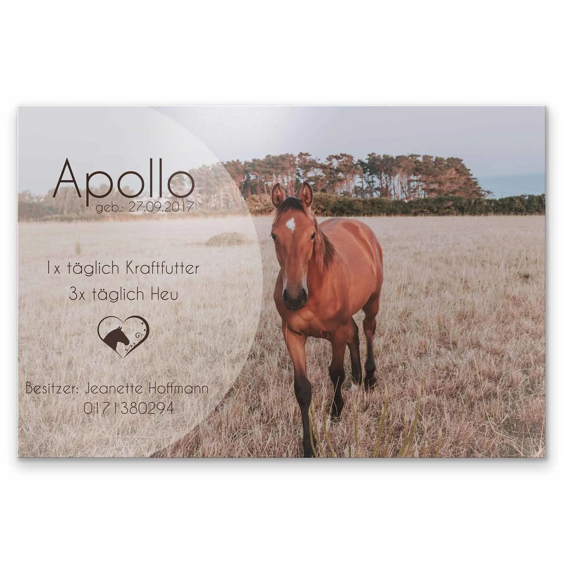 Boxenschild mit vollflächigem Fotodruck mit Transparenz und Tierherz Motiv