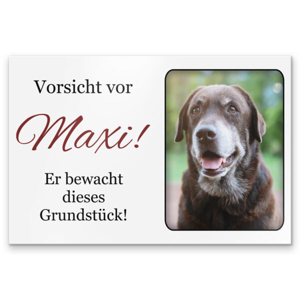 vorsicht hund schild