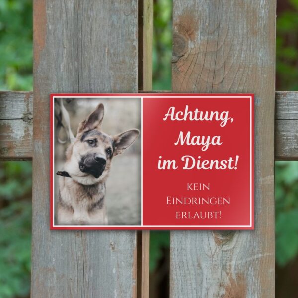 warnschild hund